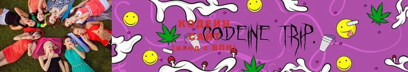 Кодеиновый сироп Lean Purple Drank  Гаврилов Посад 